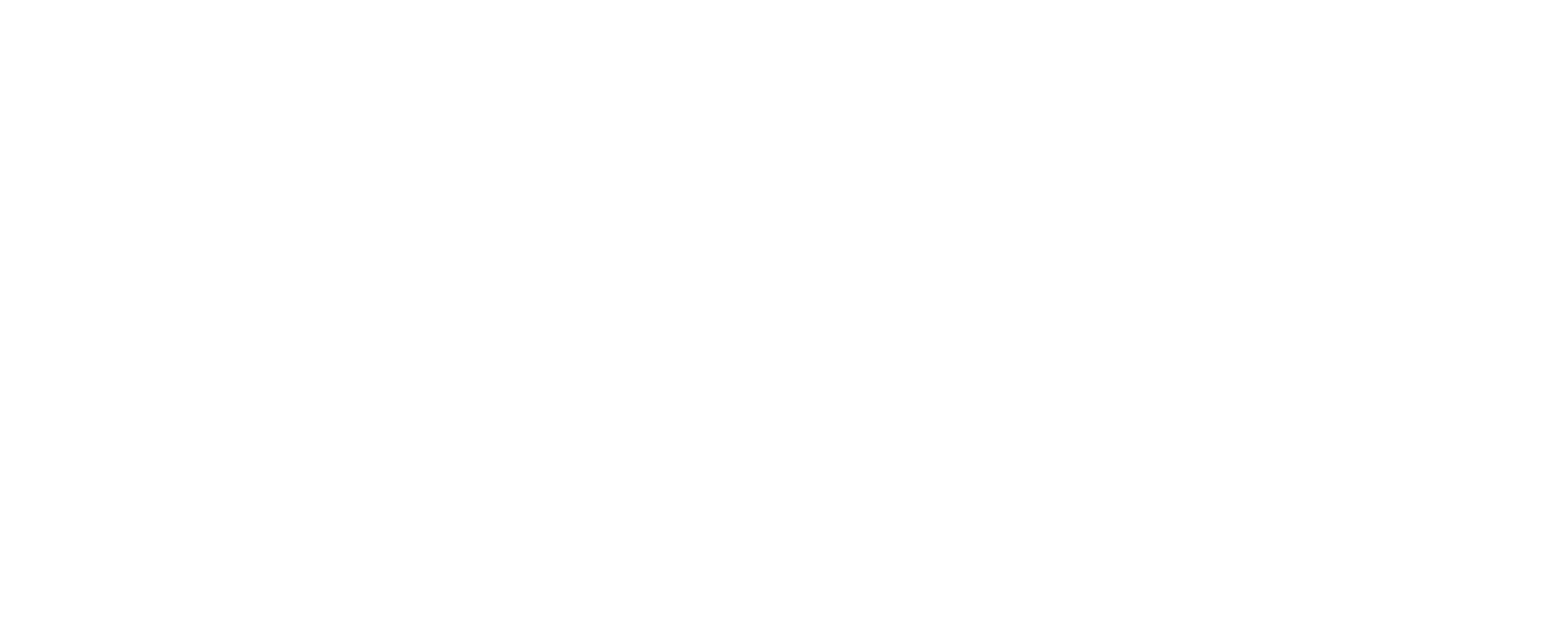 Soft Wash Pros logo
