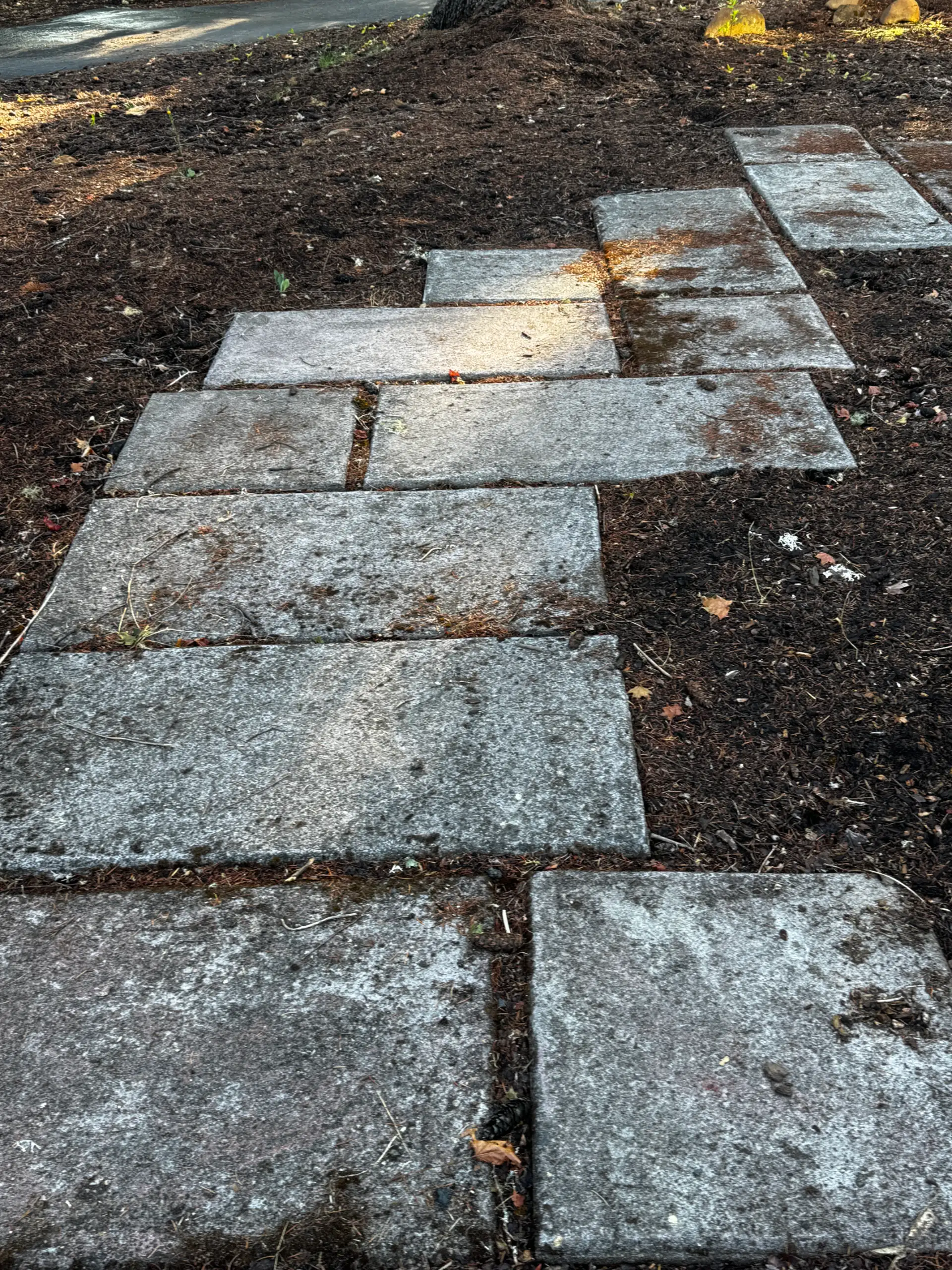 Brick & Stone Cleaning