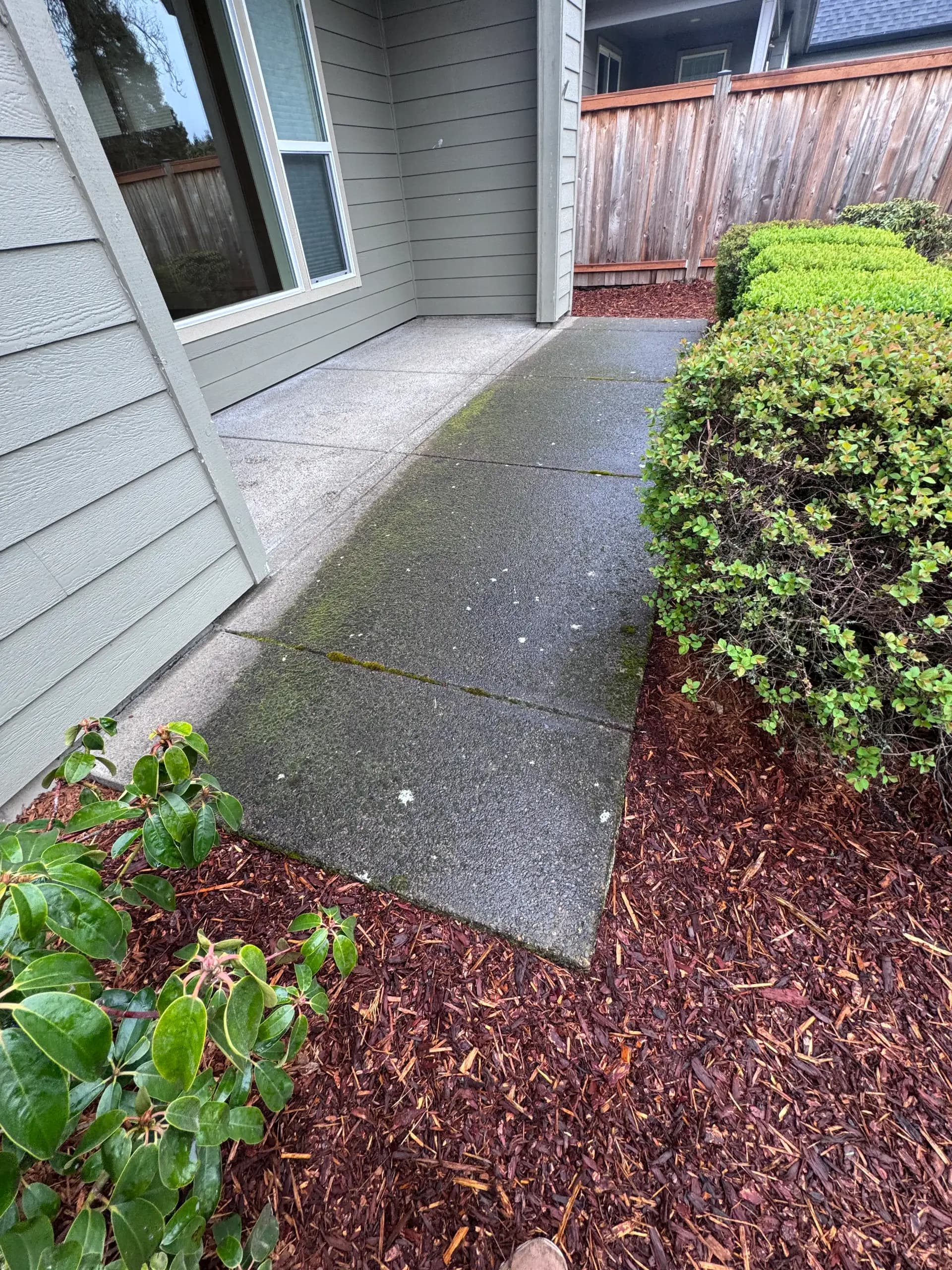 Concrete Cleaning