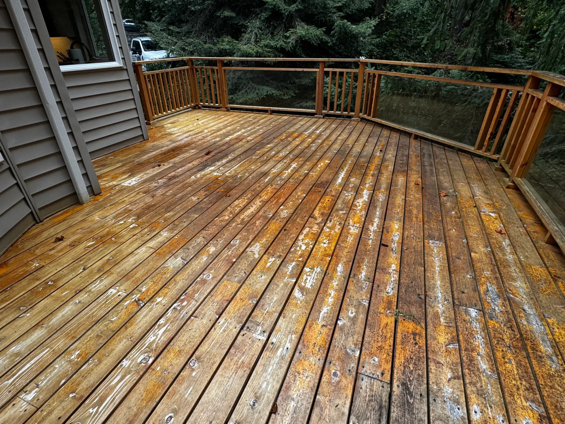 Deck & Fence Cleaning