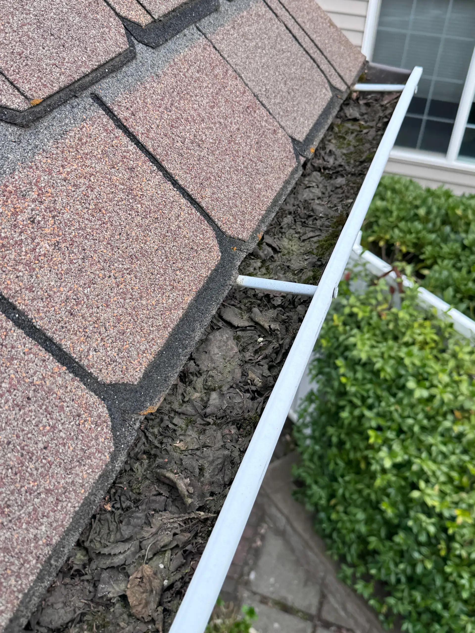 Gutter Cleaning
