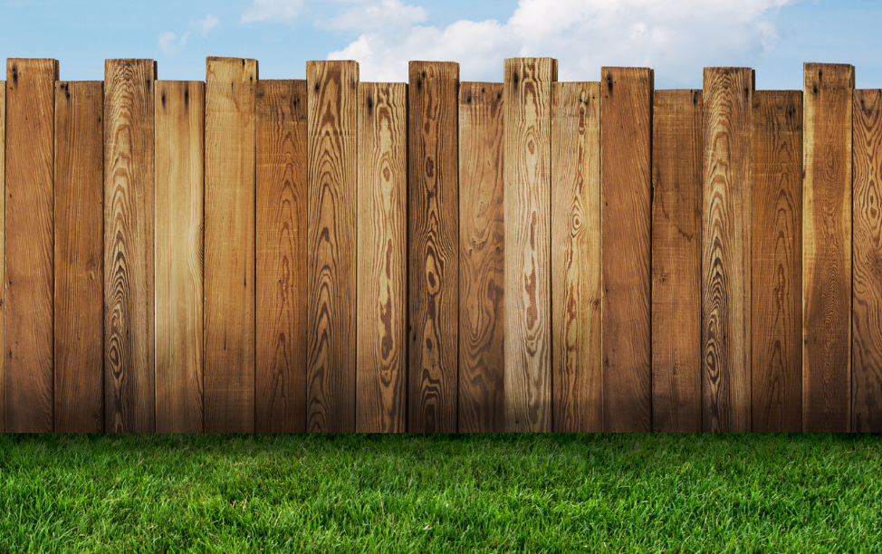 Fence Cleaning Service | Soft Wash Pros
