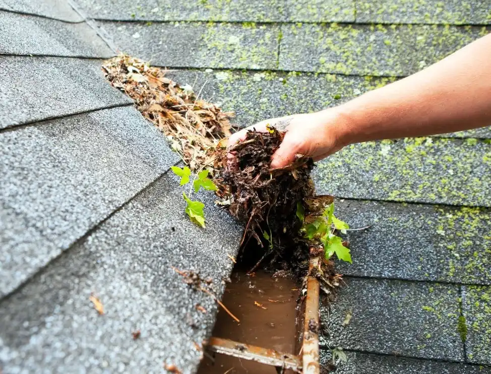 Gutter Cleaning Service | Soft Wash Pros