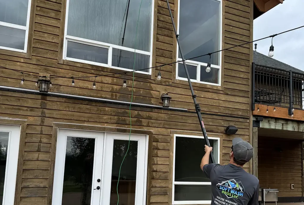 Residential Window Cleaning | Softwash Pros