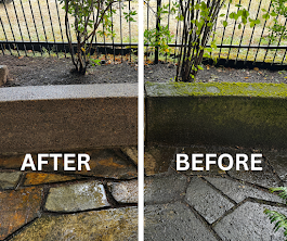 Concrete Driveway Cleaning | Softwash Pros