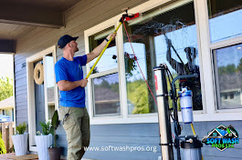 Residential Window Washing Experts | Softwash PRos